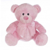 Pink Teddy Bear
